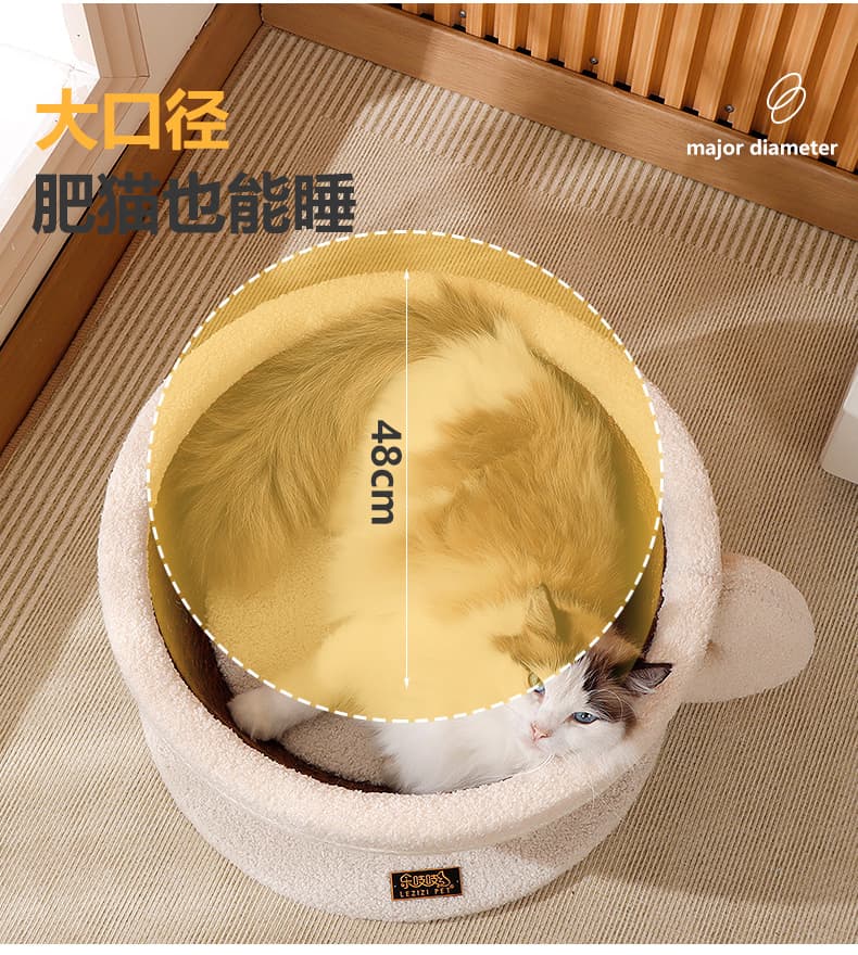 0d2ef982-1460-4047-9d61-af81ff97cb0a.jpg